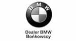 bmw logo